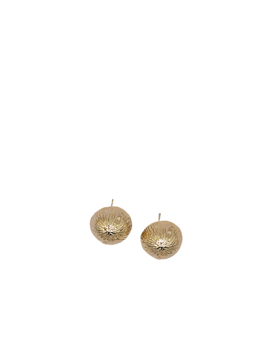 Stardust Golden Dome Stud Earrings